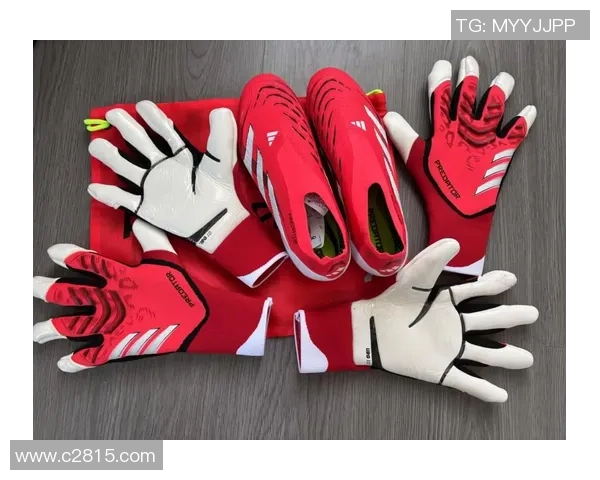 顶级守门员足球鞋推荐助你提升球场表现与技术优势